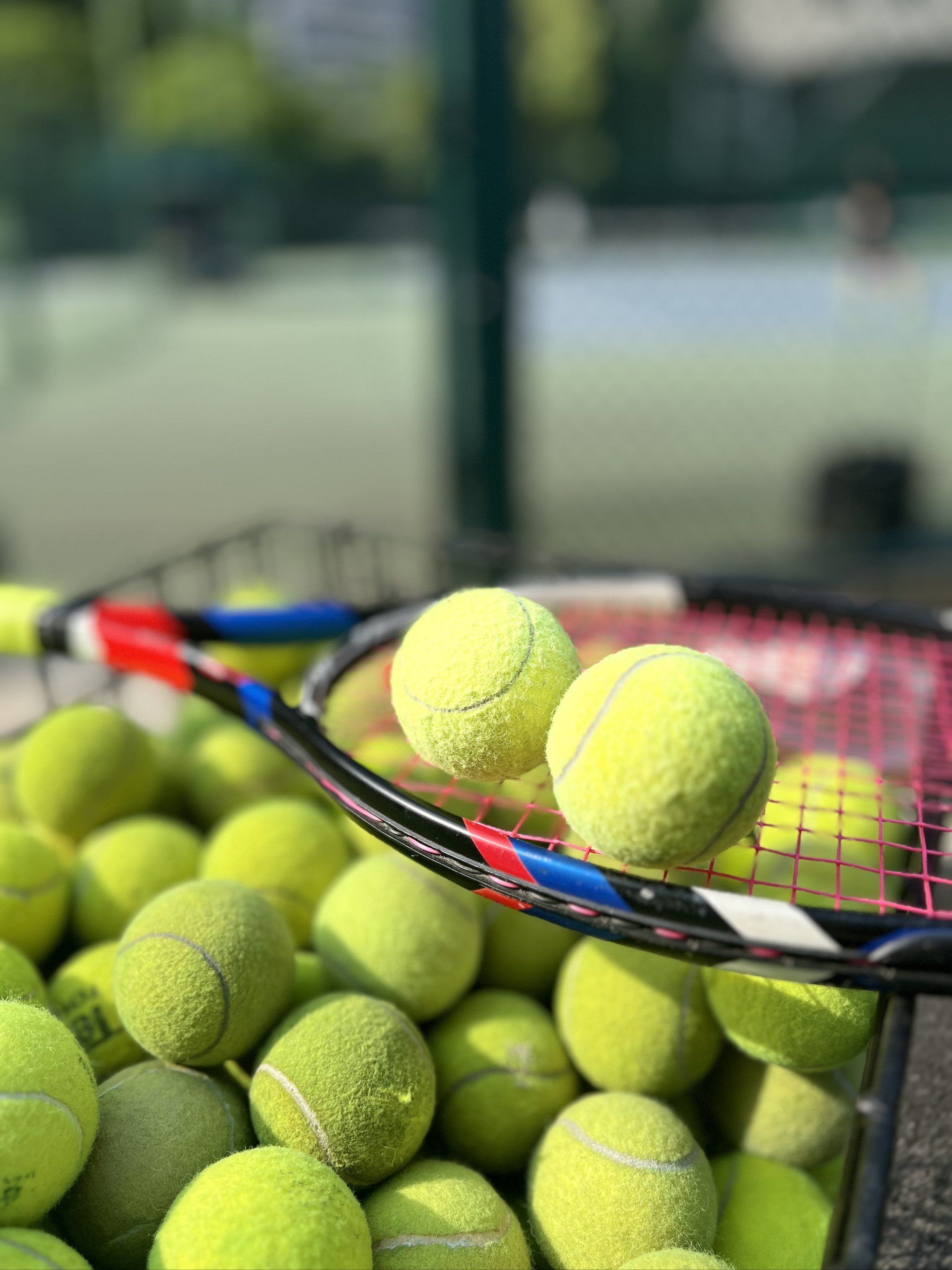 配合却始终 配合却始终